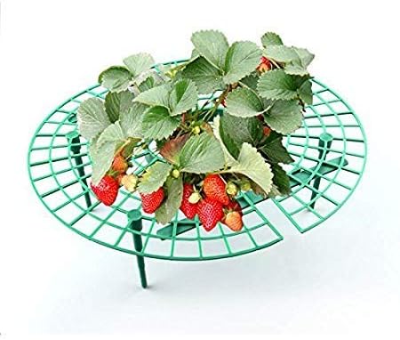 Lumpur Soporte para Plantas de Fresa, 5 Piezas Marco de Cultivo de ...
