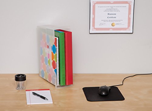 3 IRIS+Desktop+File+Small+Clear