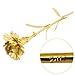 Ranipobo Sweetly Carnations Flower Mother's Day Gift 24K Gold Plated Decoration Golden Flowers 