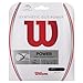 Wilson Synthetic Gut Power 40-Feet Tennis String Set, Gold, 16