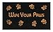Wipe Your Paws Coir Doormat by Castle Mats, Size 18 x 30 inches, Non-Slip, Durable, Made Using Odor-Free Natural Fibers