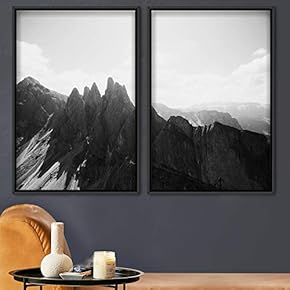 signwin 2 Piece Framed Canvas Wall Art Monochromatic...