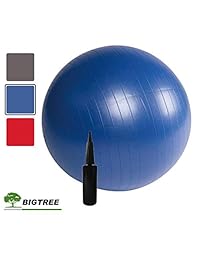 Bigtree Bola de ejercicio (21.7-29.5 in) extra gruesa para yoga, resistente a las roturas, bola de estabilidad, bola de natación con bomba rápida (oficina y hogar y gimnasio)