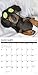 Dachshund Rules 2020 Wall Calendar (Dog Breed Calendar)