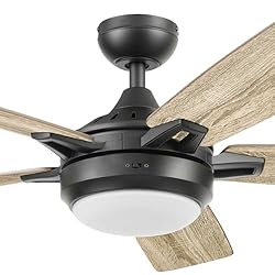 Prominence Home 51649-01 Lorelai Smart Ceiling Fan