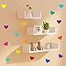 PARLAIM Wall Stickers for Bedroom Living Room, Wall Decals for Kids Boys and Girls (Colorful)
