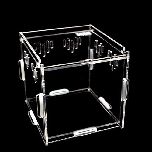 JaggerPet Reptile Box,Pet Acrylic Reptile Habitat for Larvae Spiders Small Reptiles