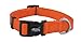 Weaver Leather Prism Snap-N-Go Collar, Small, Blaze Orange