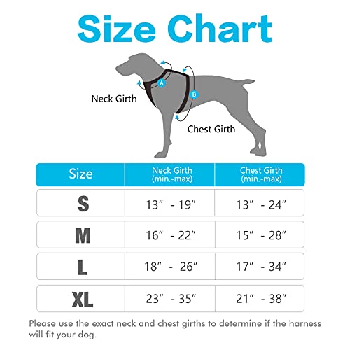 rabbitgoo Dog Harness, NoPull Pet Harness with 2 Leash Clips