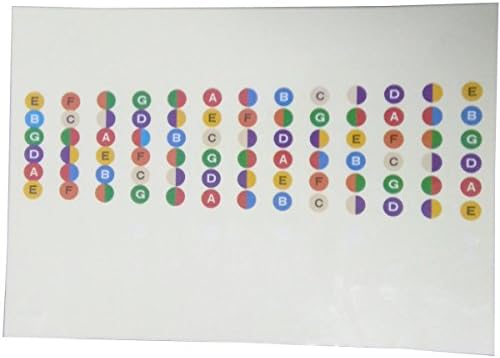 Color Coded Guitar Fretboard Note Decals with Adhesive Pickholder for Beginner Learner Practice - Wear Proof Guitar Fingerboard Frets Map Stickers with Picks Holder (clear)