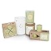 Root Candles 9941269 Seeking Balance Small Spa Candle, 6.5-Ounce, Relieve: Eucalyptus Menthol