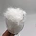 Ivie 1 lb Natural 100% Goose Down Filling for Pillow Jacket Bulk Down 900 Fill Power