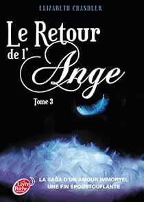 Le Retour De L Ange Tome 3 L Eternite Babelio