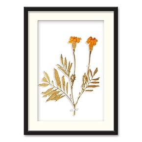 Black Paper Framed Canvas Wall Art for Living Room, Bedroom Simple Beautiful Leaves Canvas Prints for Home Decoration Ready to Hanging - 23x31 inches