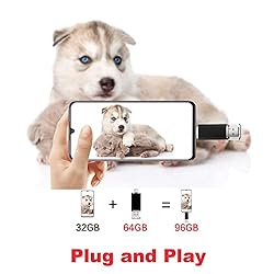 Vansuny 2 Pack 64GB USB C Flash Drive 2 in 1 OTG