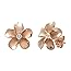 Amazon.com: 14k Rose Gold Plated Sterling Silver CZ Plumeria Hook Earrings, 14mm: Dangle 