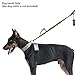 OneTigris 5ft Long Bungee Training Walking Dog Leash with Comfortable Neoprene Handle & Zinc Alloy Lead Clip (CB)