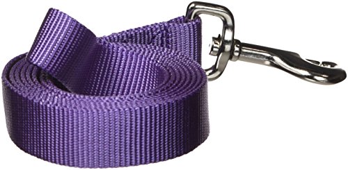 Zack & Zoey Basic Nylon Dog Leash, 6-Feet x 1-Inch Lead, Ultra Violet