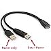 BSHTU USB 3.0 Cable Dual Power Charge Cables Y Adapter Type A Lead Male to Female Extension Code 30cm (5Gbps Data Transfer and Charging)