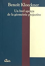 Un  bref aperçu de la géométrie projective