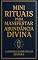 Livro Mini rituais para manifestar abundância divina: Práticas espirituais de manifestação, energia e prosperidade para elevar sua vibração, atrair riqueza e viver no fluxo da abundância
