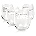 Funny Stemless Wine Glass Dictionary Definitions - Set of 4