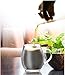 Sun's Tea Ultra Clear Glass Tea Mug | Coffee Mug 16 oz (470 ml) | Borosilicate - Glasses w Big Handle | Simple and Elegant | Microwave Safe | Pure Glass