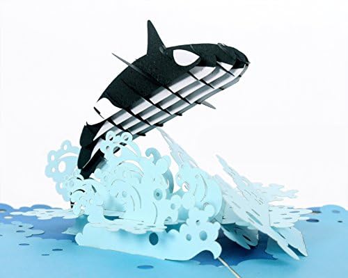 CUTPOPUP Birthday Card Pop Up, 3D Greeting Card (Orca Whale)