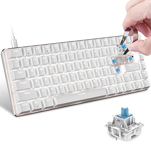 Mechanical Gaming Keyboard Type-C White LED Blue Switch
