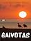 Livro GAIVOTAS [1]