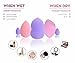 Solar Jo Auge 5 pcs Premium Makeup Sponge Set with Spiral Metal Beauty Blender Holder, Foundation Concealer Blending Makeup Sponges, Flawless Multicolor Sponges for Liquid, Powder, and Cream Cosmetics