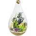 Bliss Gardens Teardrop Air Plant Terrarium with Purple Amethyst, Juniper, Moss, Extra Large 13" / Shabby Chic