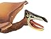 Safari Ltd Carnegie Dinosaurs Collection – Quetzalcoatlus – Realistic Hand Painted Toy Figurine Model – Quality Construction from Safe and BPA Free Materials – For Ages 3 and Up