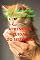 Livro Aprenda a Cuidar do Seu Gato: Gato Sente Frio? Gato Gosta de Doce?