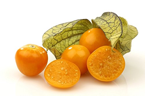 Cape Gooseberry, Ground Cherry seeds - Physalis peruviana