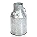 Hosley Galvanized Milk Can - 9.75