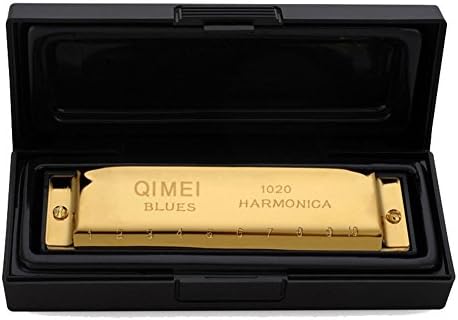 QIMEI Baby Boys Toy 10 Hole Harmonica C polyphony Blues Harmonica (Gold)