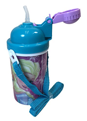 Disney Frozen Anna & Elsa Canteen w/ Popup Lid & Straps Water Bottle Tumbler Cup