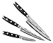 Enso HD Knife Set - Made in Japan - VG10 Hammered Damscus Japanese Stainless Steel - Cutlery Set with Chef's, Utility & Paring Knives