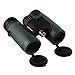 Wingspan Optics Pioneer 8X32 Compact Binoculars for Bird Watching. Wide View for Hours of Bright, Clear Birding. Lightweight and Durable. Great for Outdoor Sports Games and Concerts