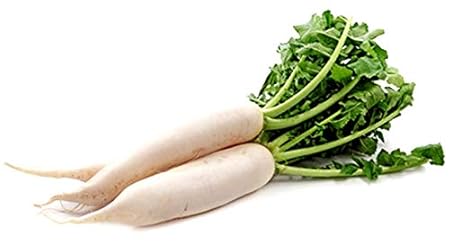 Splendour Seeds Radish White Long Kitchen Garden Vegetable Seeds(100 Seeds)