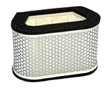 Hiflofiltro HFA4907 Premium OE Replacement Air Filter