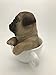 Pacific Giftware Adorable Teacup Pet Pals Puppy Collectible Figurine 5.75 Inches (Pug)