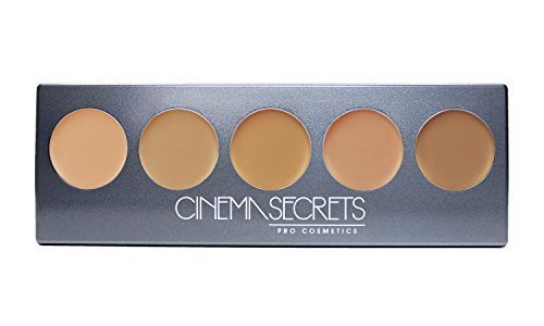 Cinema Secrets 5-in-1 300 Series Ultimate Foundation Pro Palette