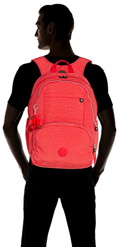 kipling hahnee backpack