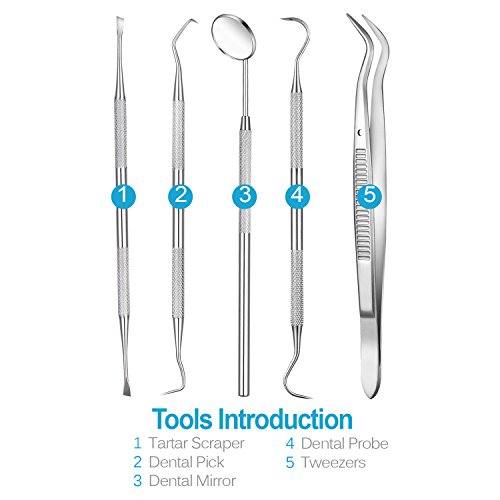 Dental Hygiene Tool Set Oral Care Tools Stainless Steel Dentist Tools