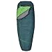 Kelty TRU Comfort 20 Degree Sleeping Bag, Regular, Ponderosa Pine/Tree Top