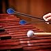 AIEX 1 Pair Marimba Percussion Mallets Yarn Head Mallets Medium Hard Keyboard Mallets Percussion with Maple Handles Waterproof Bag