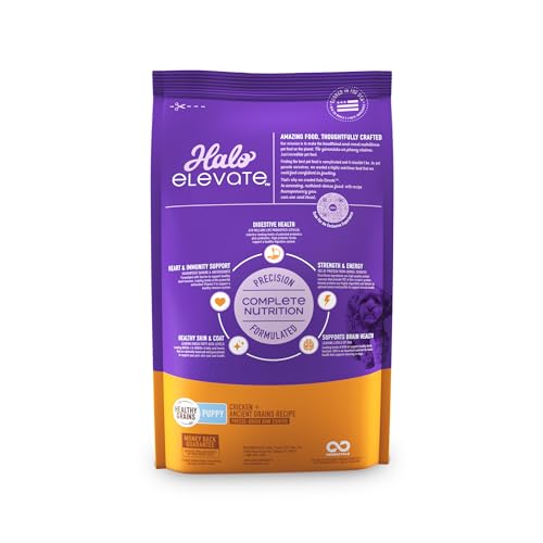 HALO ELEVATE PUPPY FOOD, CHICKEN RECIPE, HEALTHY GRAINS DRY DOG FOOD, 3.5 LB BAG