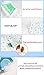 Pet Soft Dog Disposable Diapers Physiological Pants Sanitary Cotton Underwear Nappy (XXS)